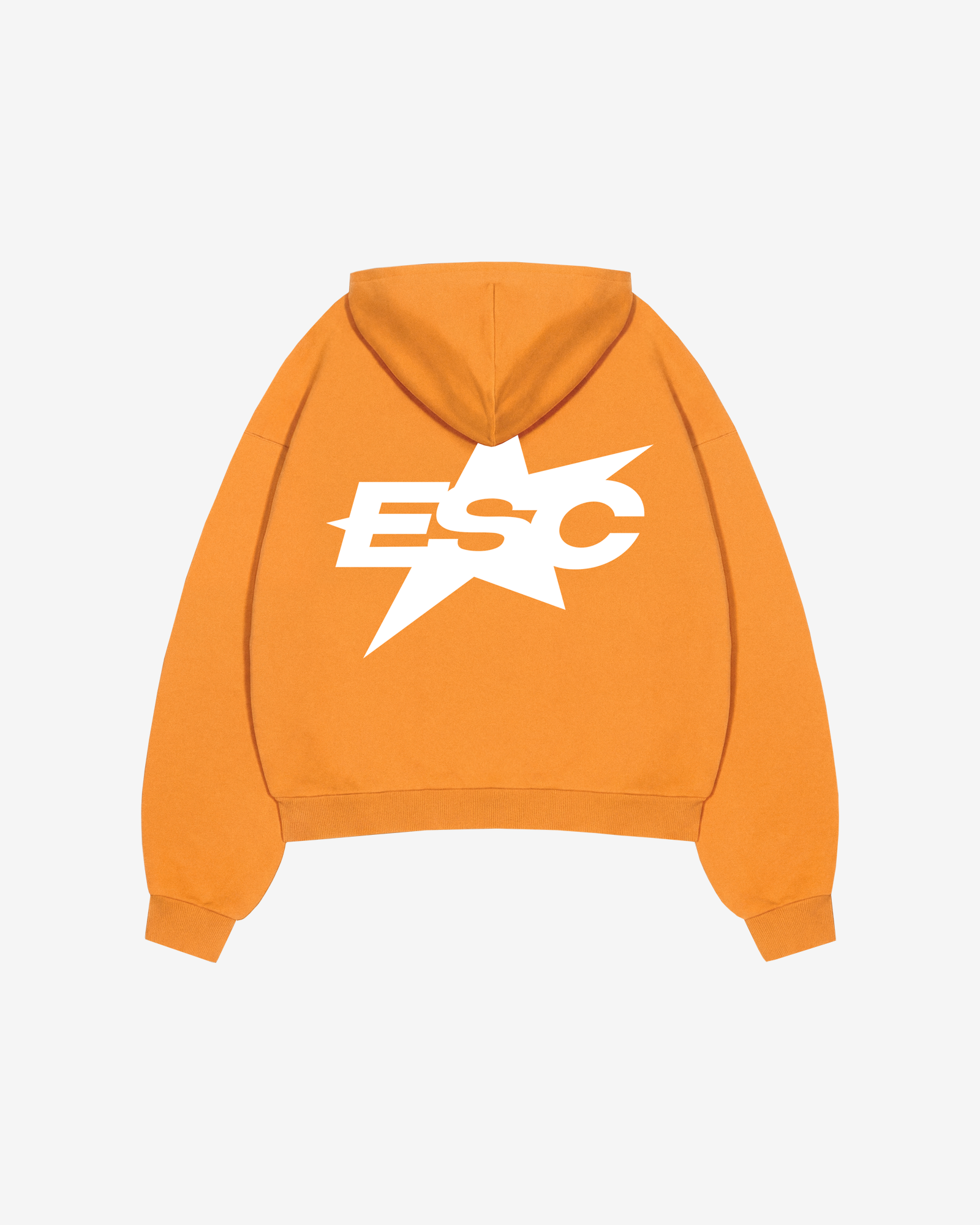 ESC LOGO HOODIE