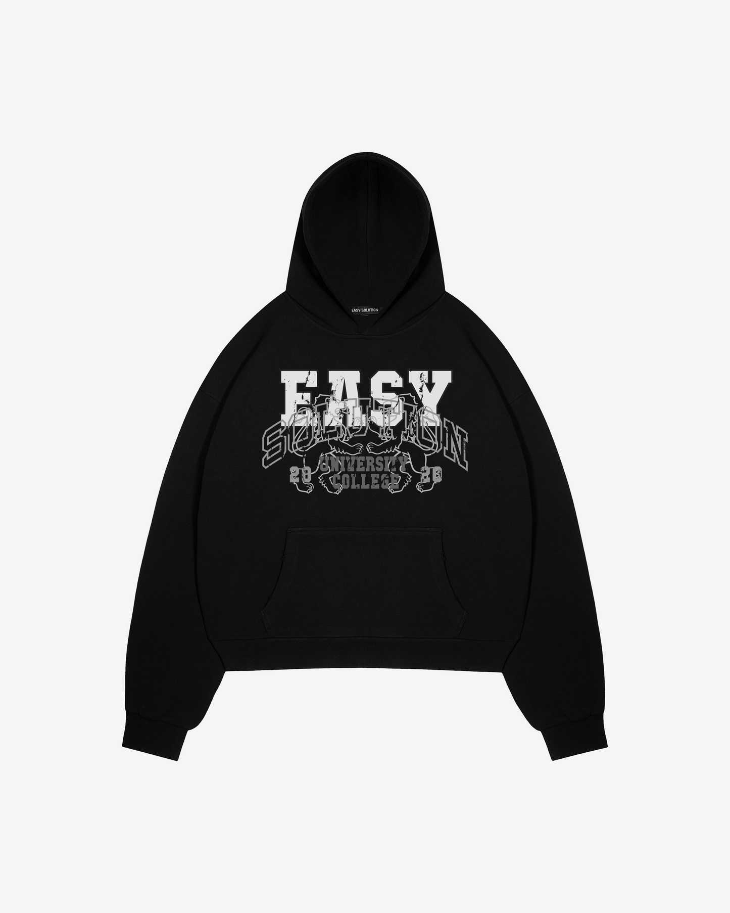 UNIVERSITY COLLEGE HOODIE