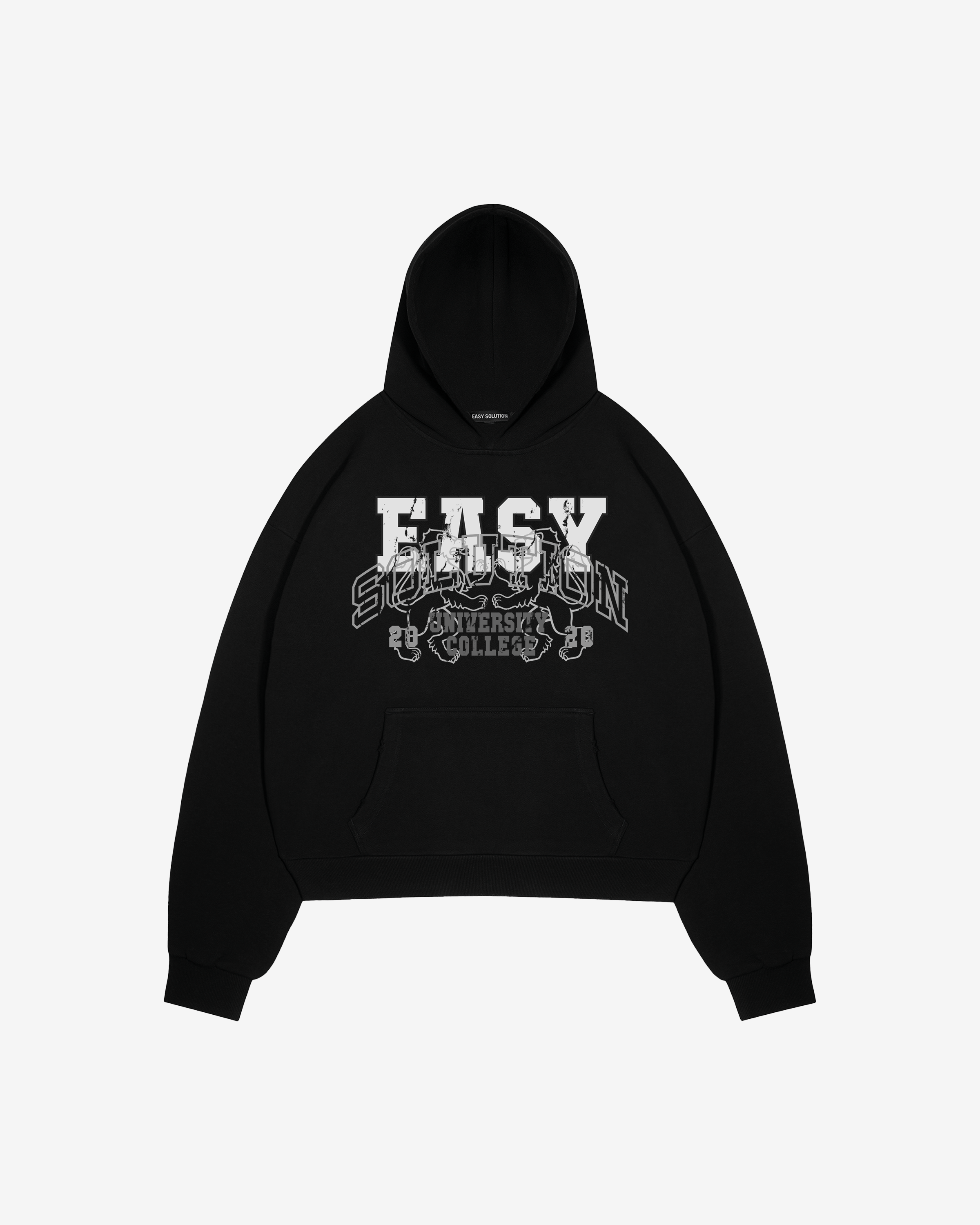 UNIVERSITY COLLEGE HOODIE