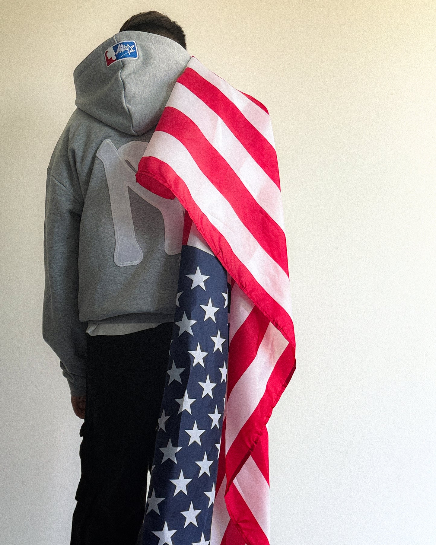 MLB EMBROIDERED HOODIE