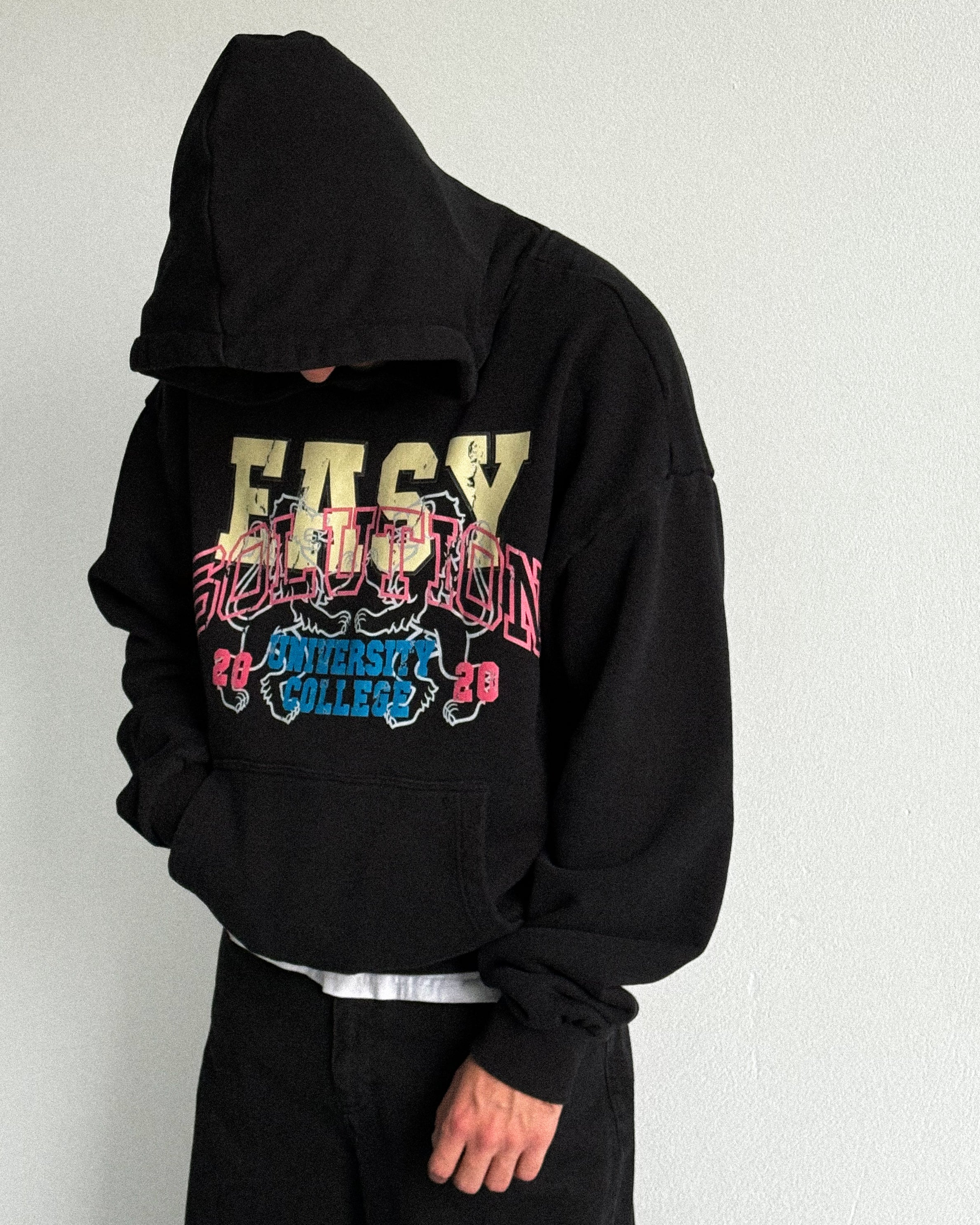 UNIVERSITY COLLEGE HOODIE
