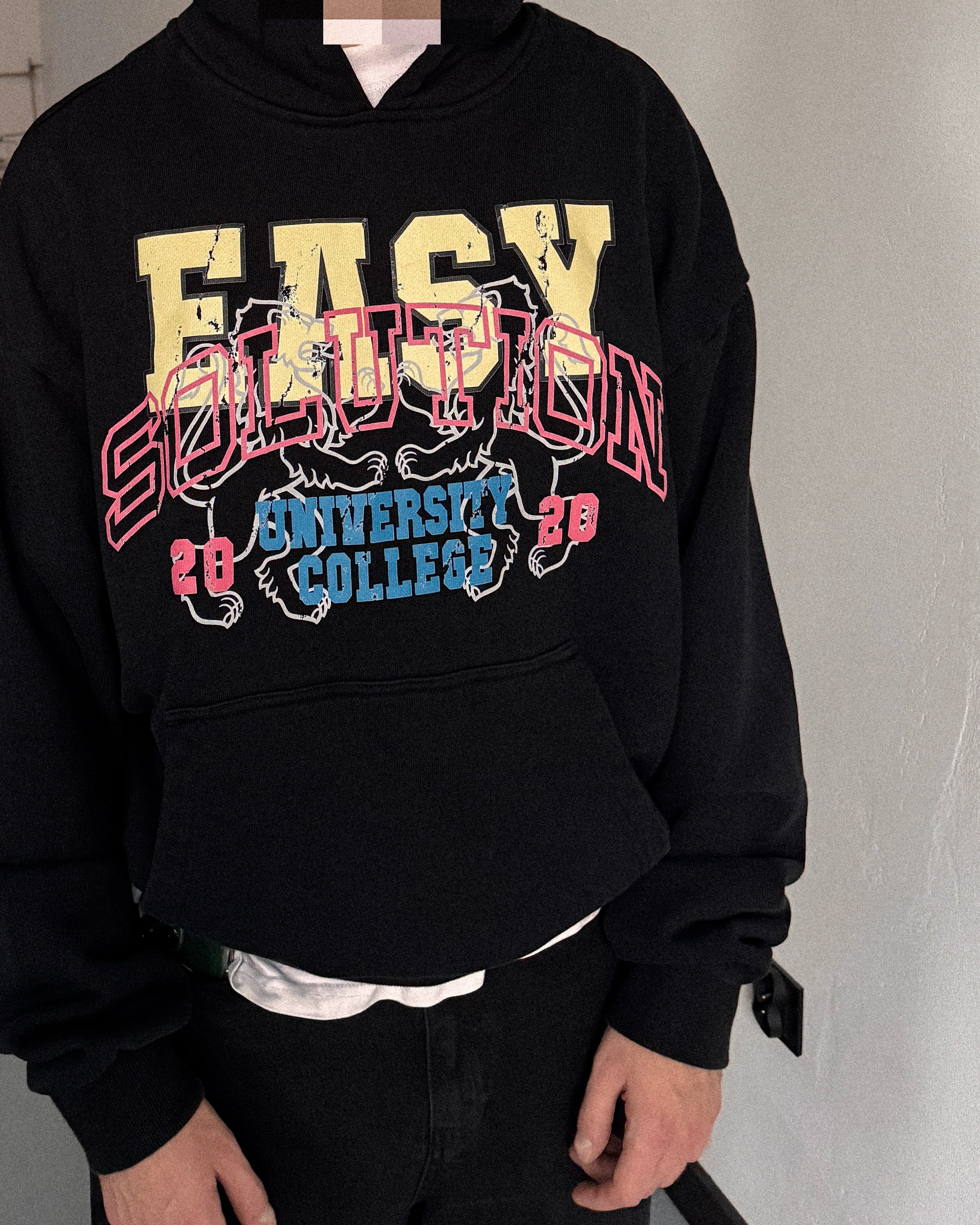 UNIVERSITY COLLEGE HOODIE