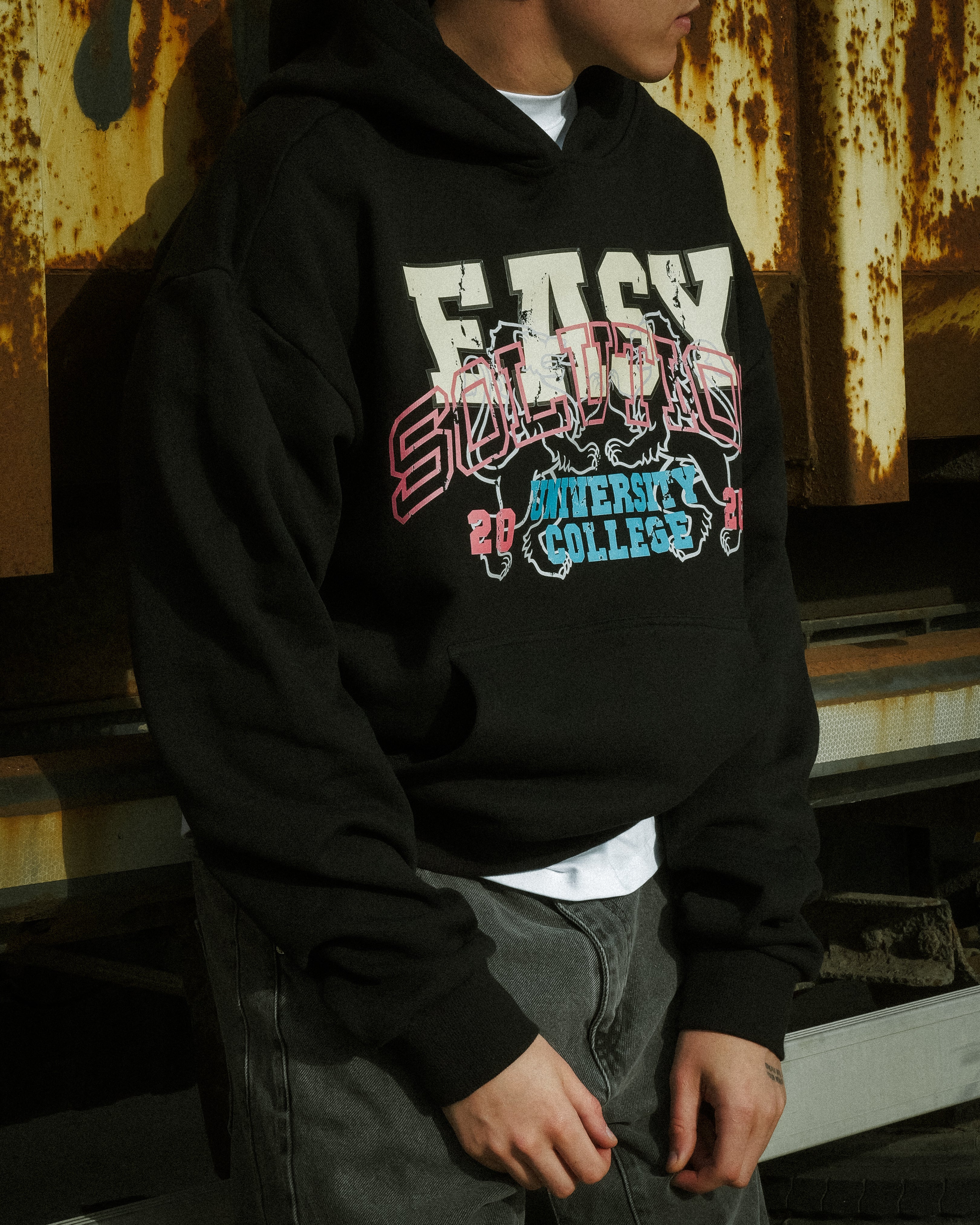 UNIVERSITY COLLEGE HOODIE