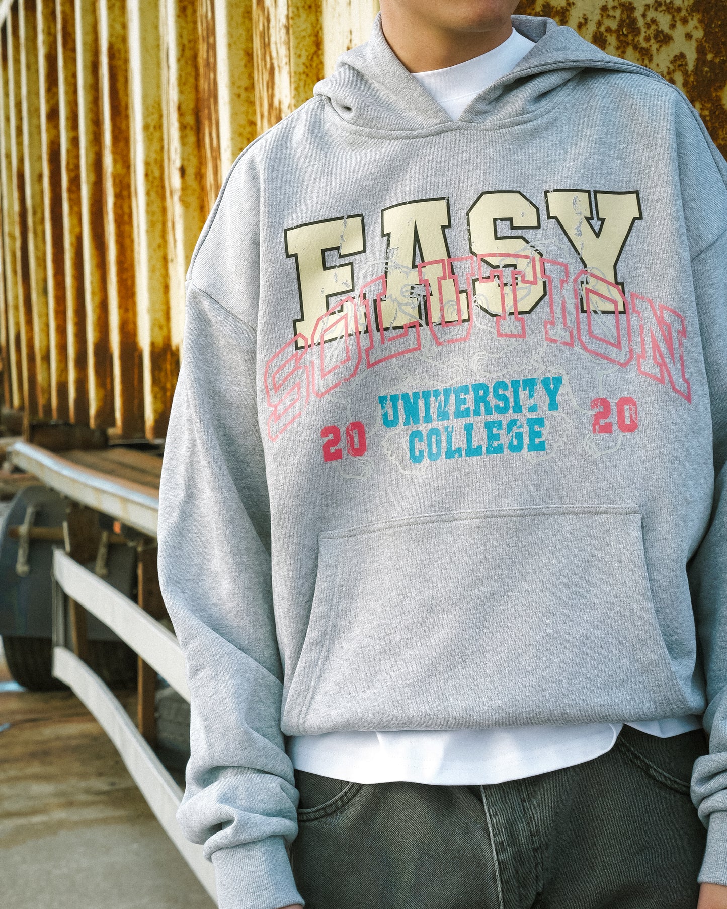 UNIVERSITY COLLEGE HOODIE