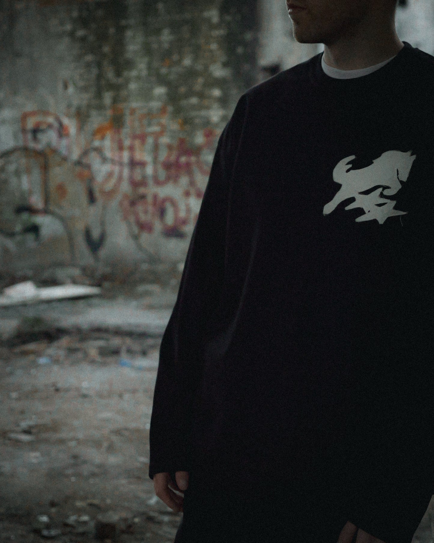 HORSE APPLIQUE CANVAS LONGSLEEVE