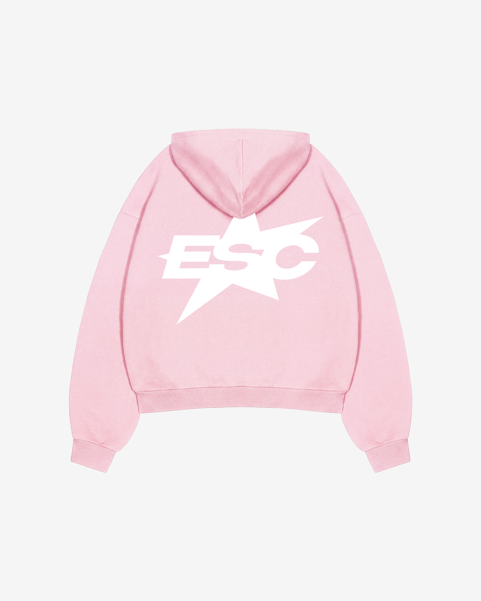 ESC LOGO HOODIE