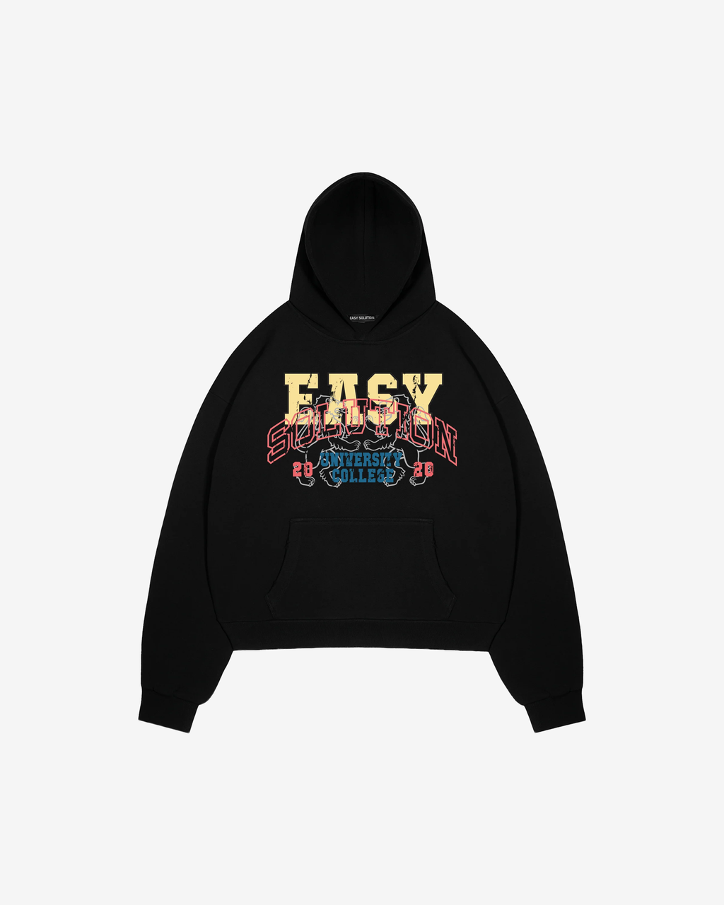 UNIVERSITY COLLEGE HOODIE