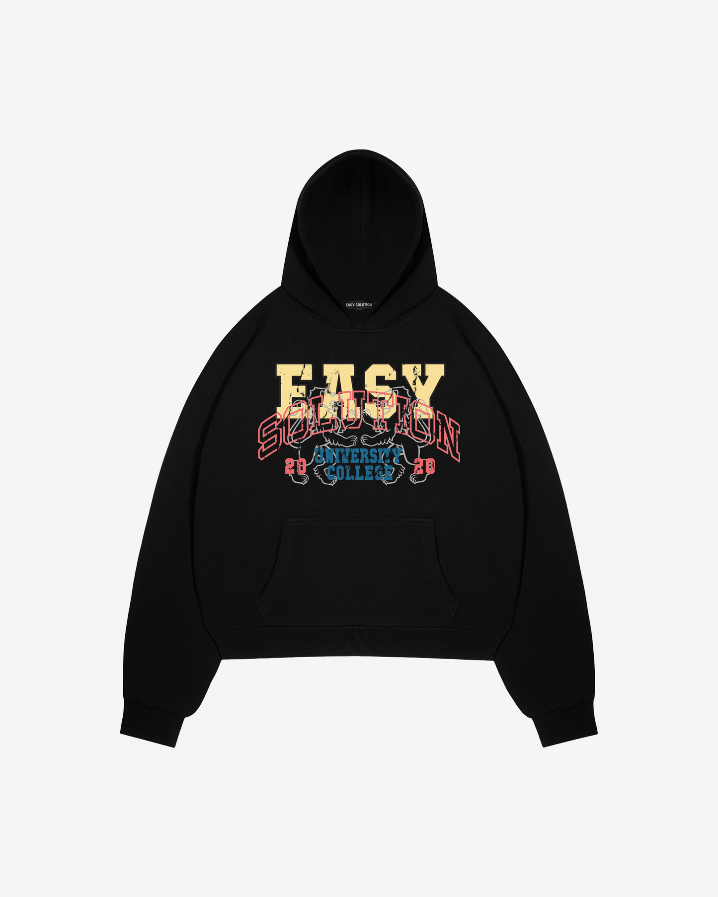 UNIVERSITY COLLEGE HOODIE