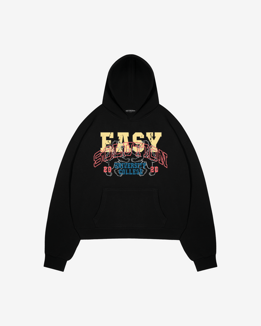 UNIVERSITY COLLEGE HOODIE