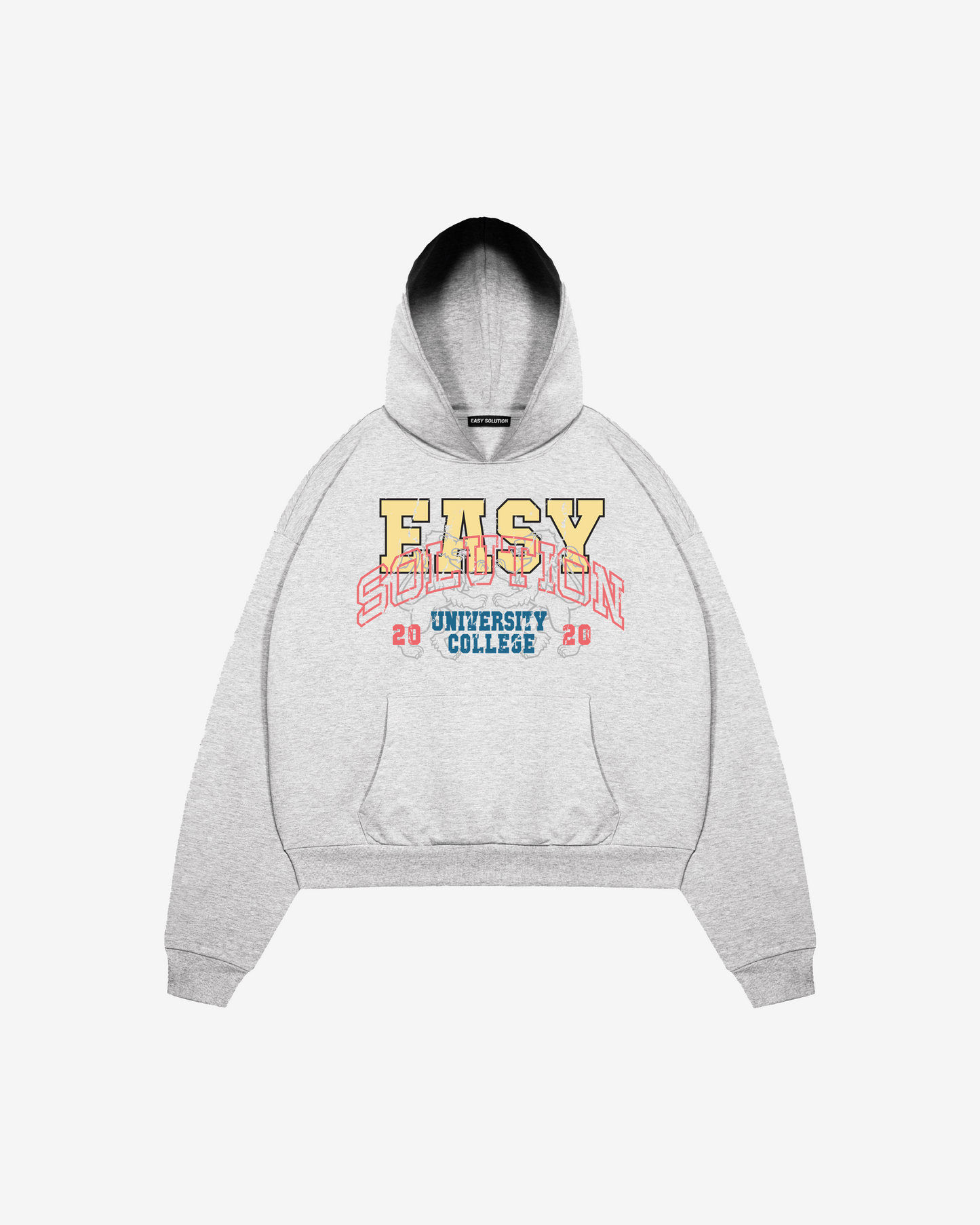 UNIVERSITY COLLEGE HOODIE